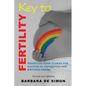 Key to Fertility: Rewriting Your Stories for Success in Conceiving and Birthing Babies - Paperback