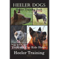 Heeler Dogs Heeler Training Book for Both Heeler Dogs and Heeler Puppies By D!D THIS Dog Training: Heeler Training Begins From the Car Ride Home Heele - Paperback