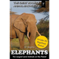 Elephants: The Largest Land Animals on the Planet - Paperback