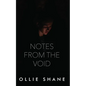 Notes From the Void - Paperback
