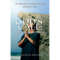God's Call: Why I Entered the Seminary - Paperback