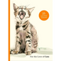 For the Love of Cats: 25 Postcards - Paperback