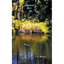 Alligators Ain't All - Paperback