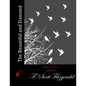 The Beautiful and Damned - Paperback