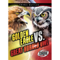 Golden Eagle vs. Great Horned Owl - Paperback