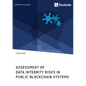Assessment of Data Integrity Risks in Public Blockchain Systems - Paperback