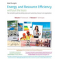 Energy and Resource Efficiency without the tears: The complete guide to to adding value and sustaining change in an organization. - Paperback