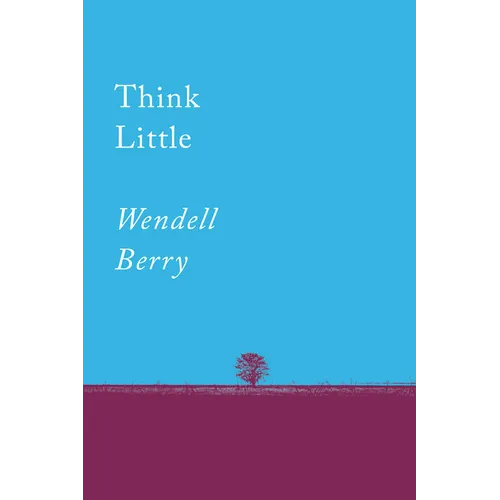 Think Little: Essays - Paperback