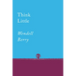 Think Little: Essays - Paperback