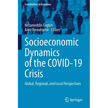Socioeconomic Dynamics of the Covid-19 Crisis: Global, Regional, and Local Perspectives - Paperback