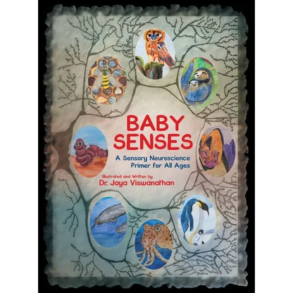 Baby Senses: A Sensory Neuroscience Primer for All Ages - Hardcover
