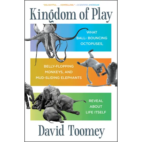 Kingdom of Play: What Ball-Bouncing Octopuses, Belly-Flopping Monkeys, and Mud-Sliding Elephants Reveal about Life Itself - Paperback
