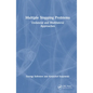 Multiple Stopping Problems: Unilateral and Multilateral Approaches - Hardcover