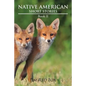 Native American Short Stories: Book II - Paperback