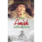 The Amish Grandson: Amish Christmas Romance - Paperback