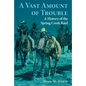 A Vast Amount of Trouble: A History of the Spring Creek Raid - Paperback