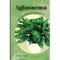 Aglaonema: Why my Plant not grow? problems and their solutions - Paperback