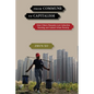 From Commune to Capitalism: How China's Peasants Lost Collective Farming and Gained Urban Poverty - Paperback