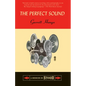 The Perfect Sound: A Memoir in Stereo - Paperback