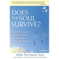 Does the Soul Survive? (2nd Edition): A Jewish Journey to Belief in Afterlife, Past Lives & Living with Purpose - Paperback