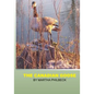 The Canadian Goose: The Canadian goose and how to raise the young - Paperback
