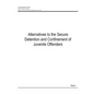 Alternatives to the Secure Detention and Confinement of Juvenile Offenders - Paperback