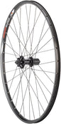 Quality Wheels Value Double Wall Series Disc Rear Wheel - 29" QR x 135mm 6-Bolt HG 10 BLK Clincher 32H