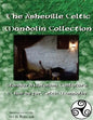 The Asheville Celtic Mandolin Collection: Standard Notation, Tablature and Chords for the Celtic Mandolin - Paperback