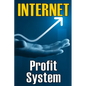 Internet Profit System: How to Make the Internet Work for You! Using This Guide to Begin an Online Business - Paperback