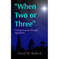 "When Two or Three": Finding Purpose Through Spirituality - Paperback