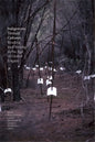 Indigenous Textual Cultures: Reading and Writing in the Age of Global Empire - Paperback