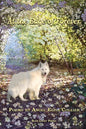 At The Edge Of Forever - Paperback