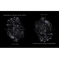 Transtraterrestrial: Dark Matter and Black Divinities - Paperback