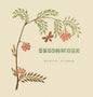 Brushwork - Hardcover