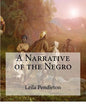 A Narrative of the Negro: (Large Print Edition) - Paperback