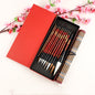 Chinese Calligraphy Painting Brush Set