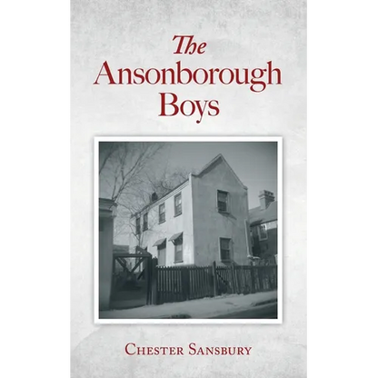 The Ansonborough Boys - Paperback