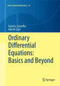 Ordinary Differential Equations: Basics and Beyond - Paperback