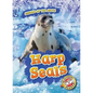 Harp Seals - Library Binding