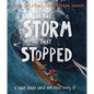 The Storm That Stopped Storybook: A True Story about Who Jesus Really Is - Hardcover