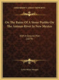 On The Ruins Of A Stone Pueblo On The Animas River In New Mexico: With A Ground Plan (1879) - Hardcover