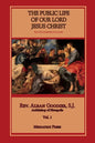Public Life of Our Lord Jesus Christ, vol. 1 - Paperback