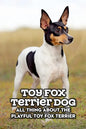 Toy Fox Terrier Dog: All Thing about The Playful Toy Fox Terrier: Toy Fox Terrier Dog Breed Complete Guide - Paperback