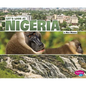 Let's Look at Nigeria - Hardcover