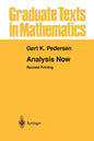 Analysis Now - Paperback