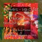 Flowers - Up Close: Photography through a Macro Lens - Paperback