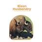 Bison Husbandry: An Exhaustive Manual on a Proficient Market. - Paperback