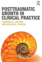 Posttraumatic Growth in Clinical Practice - Paperback