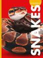 Curious about Snakes - Paperback