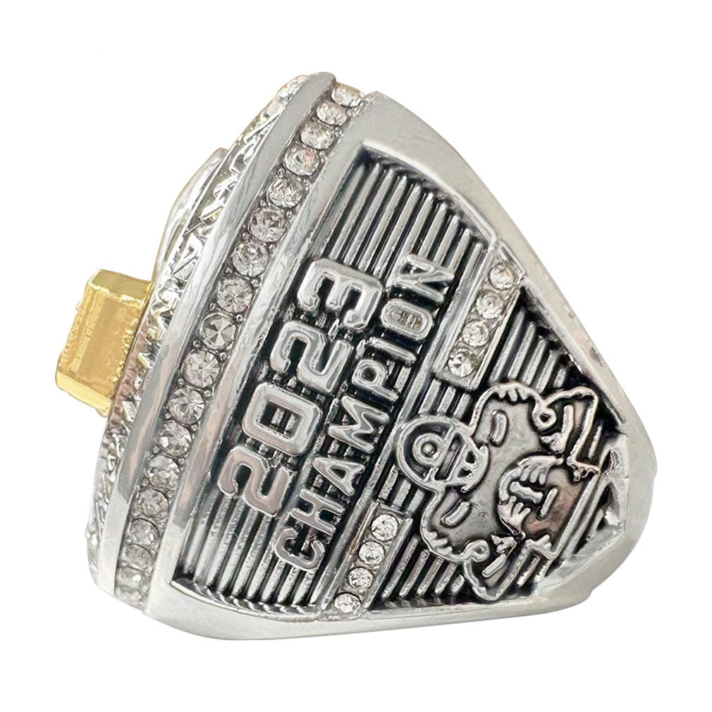 2023 Fantasy Football Champion Ring & Trophy Set